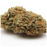 Шишки AK47 (Гидропоника, Бошка) VHQ в Железноводске Шишки AK47 (Гидропоника, Бошка) VHQ в Железноводске